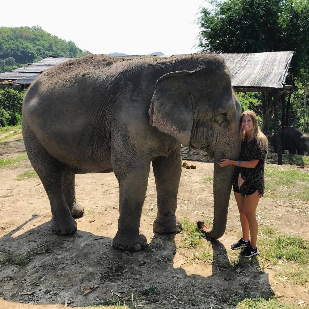 Meet your Posher, Sydney